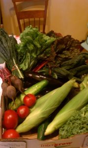Lacinato and regular kale in a CSA delivery