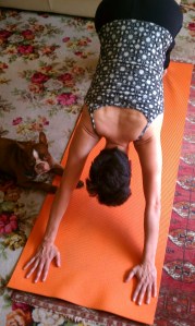 Yoga_with_Cooper